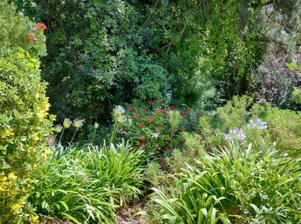 5234 Westridge Ave, Auburn, CA 95602 Photo