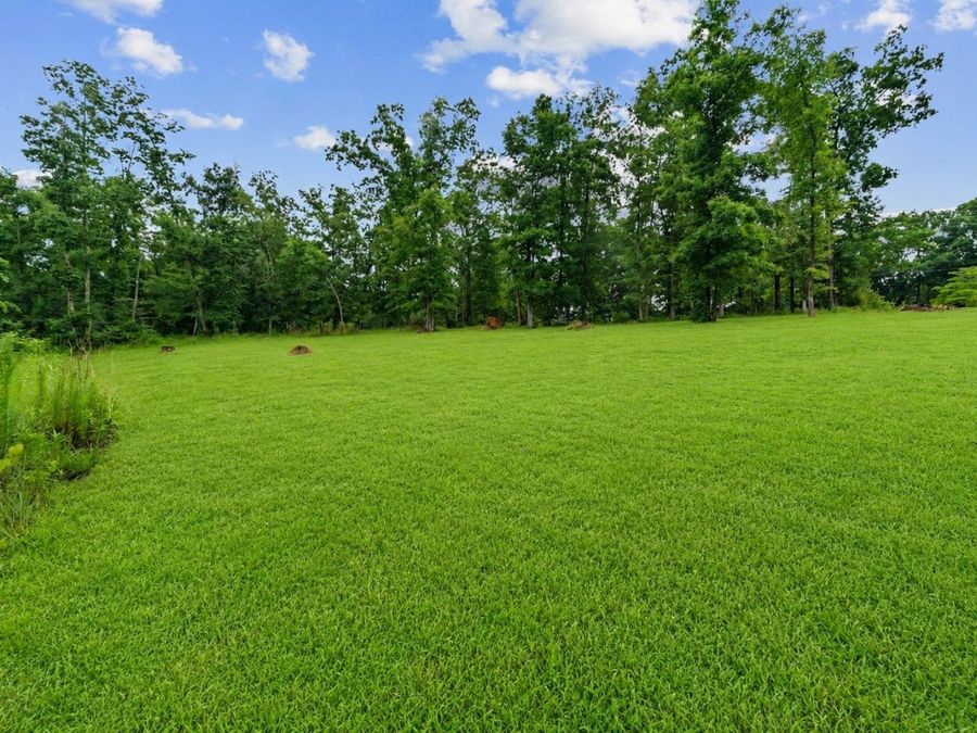 Property Image 77