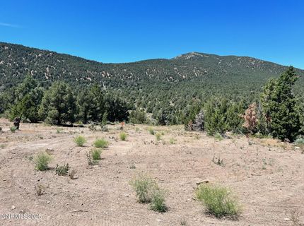 Tbd P14, Lot #76, Minden, NV 89423 Photo