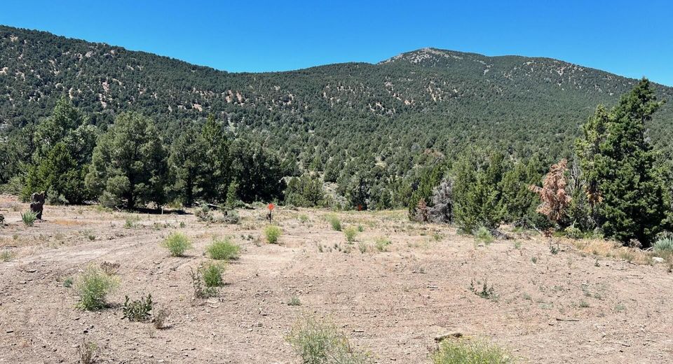 Tbd P14, Lot #76, Minden, NV 89423 Photo