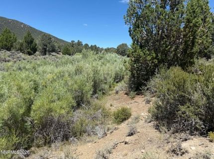 Tbd P14, Lot #76, Minden, NV 89423 Photo
