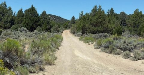 Tbd P14, Lot #76, Minden, NV 89423 Photo