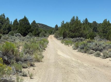 Tbd P14, Lot #76, Minden, NV 89423 Photo
