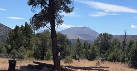 Tbd P14, Lot #76, Minden, NV 89423 Photo