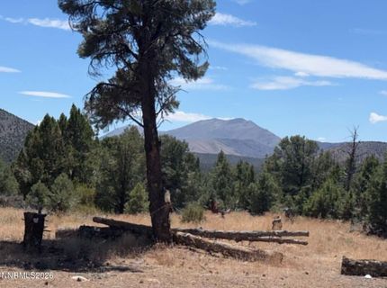 Tbd P14, Lot #76, Minden, NV 89423 Photo