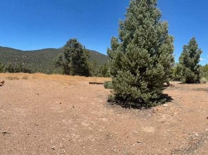 Tbd P14, Lot #76, Minden, NV 89423 Photo