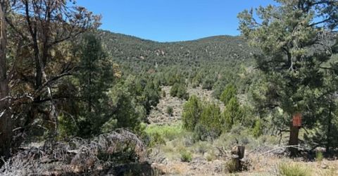 Tbd P14, Lot #76, Minden, NV 89423 Photo