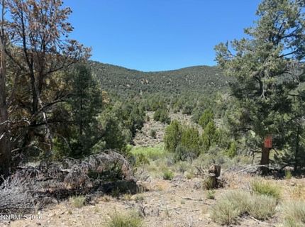 Tbd P14, Lot #76, Minden, NV 89423 Photo