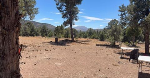 Tbd P14, Lot #76, Minden, NV 89423 Photo