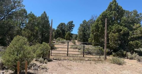 Tbd P14, Lot #76, Minden, NV 89423 Photo