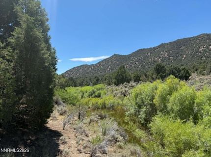 Tbd P14, Lot #76, Minden, NV 89423 Photo