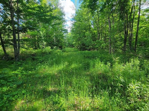 on HUNTING RIVER ROAD, Elcho, WI 54428