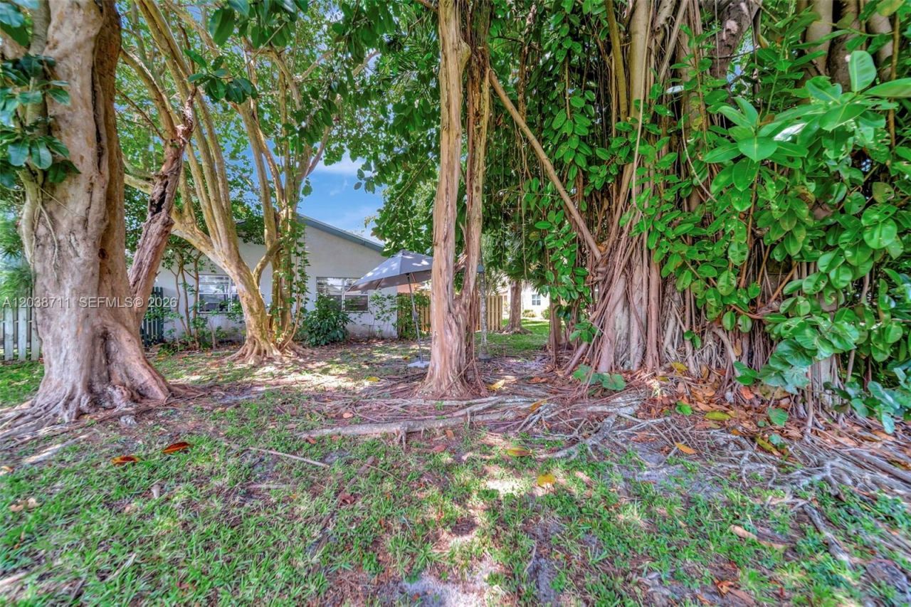 7447 W Sunrise Blvd , Unit 7447, Plantation, FL 33313 Photo