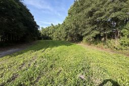 0 Reevesville photo 4