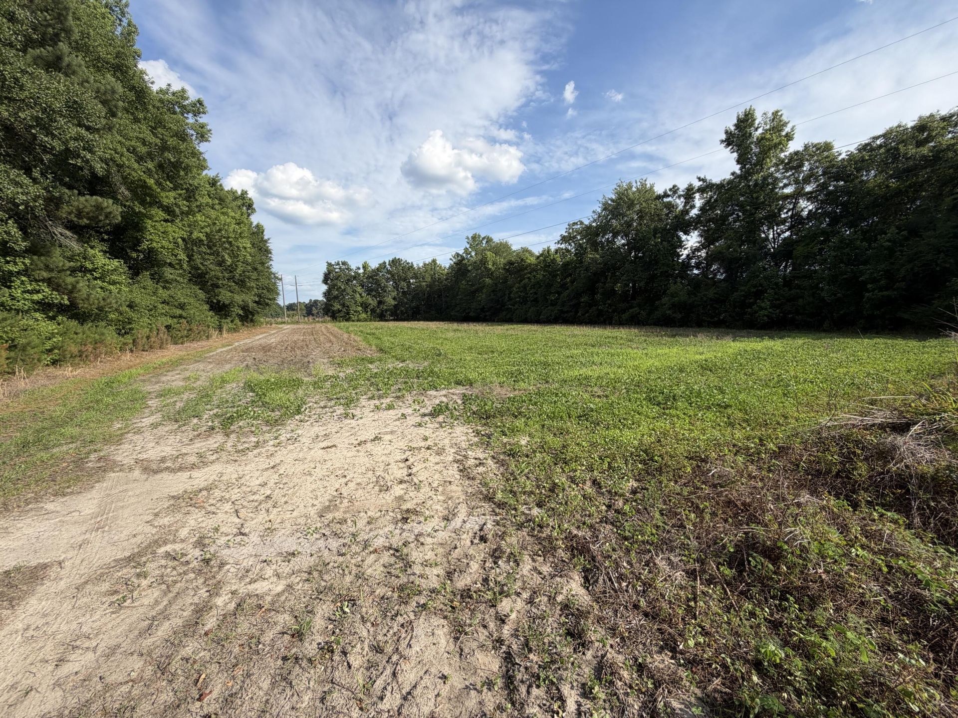 0 Reevesville Photo 6