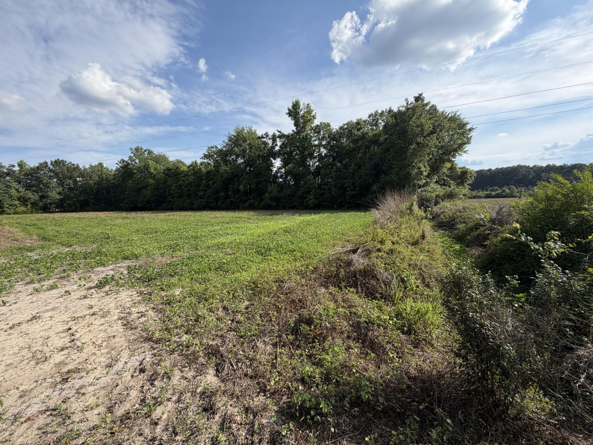 0 Reevesville Photo 7