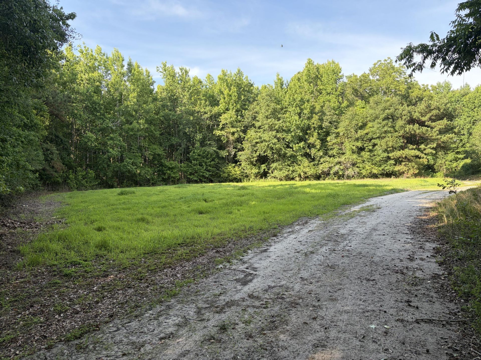 0 Reevesville Photo 8