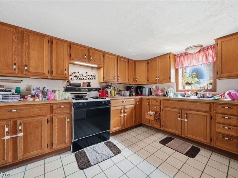 5582 S Ridge Road , Madison, OH 44057 Photo 39