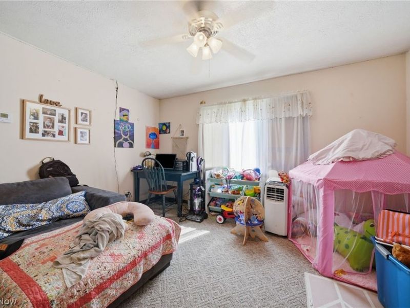 5582 S Ridge Road , Madison, OH 44057 Photo 45