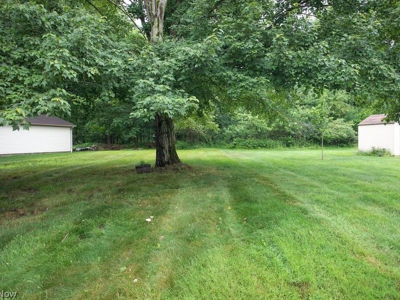 4339 Timberbrook Drive , Canfield, OH 44406 Photo 25