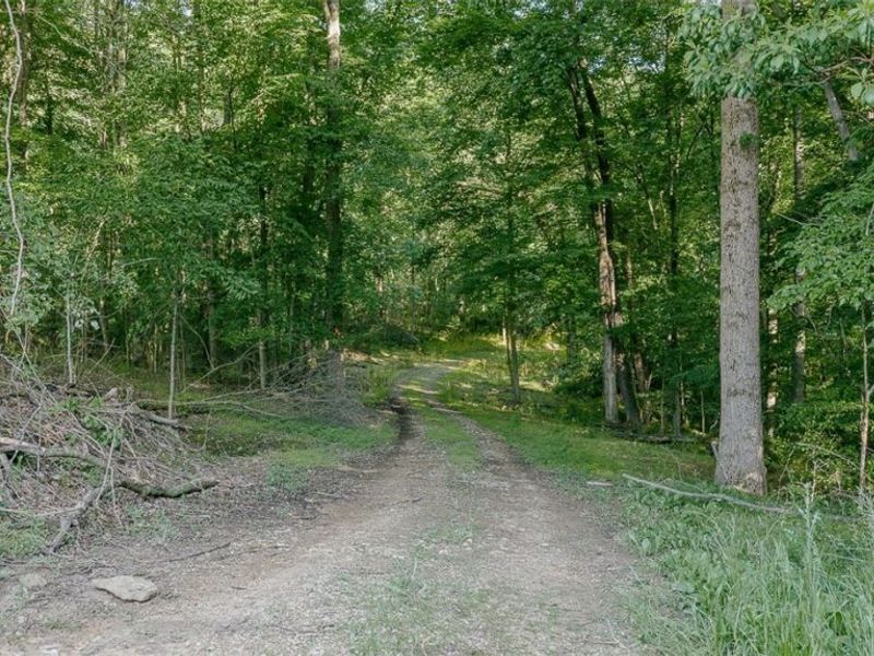 20101 State Route 16 , Coshocton, OH 43812 Photo 37