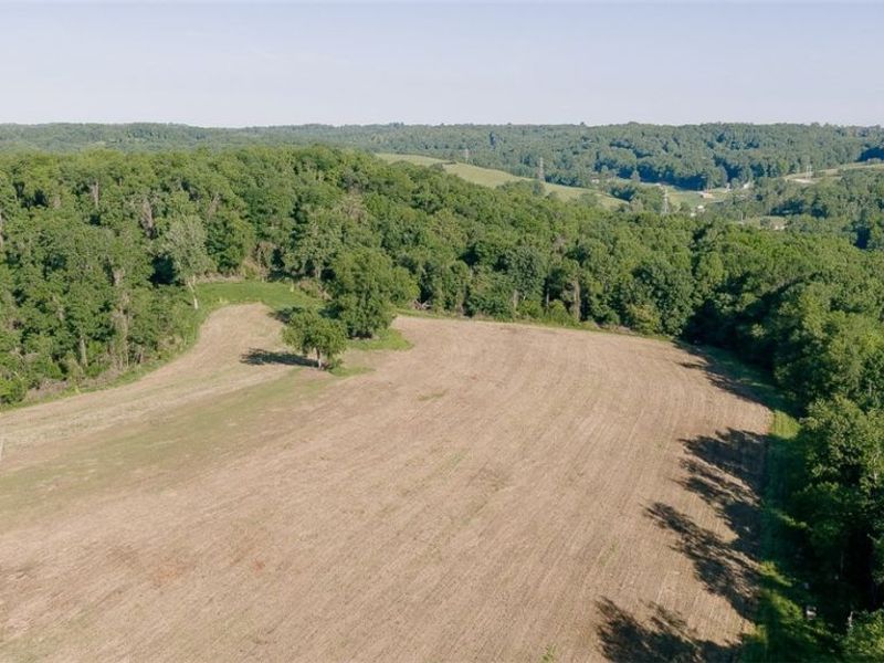 20101 State Route 16 , Coshocton, OH 43812 Photo 39