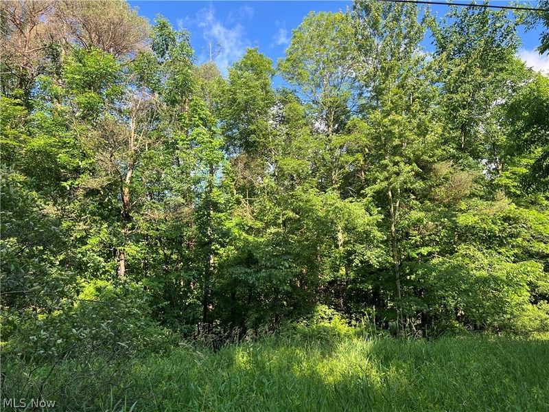 State Line Road, Conneaut, OH 44082 Photo 1