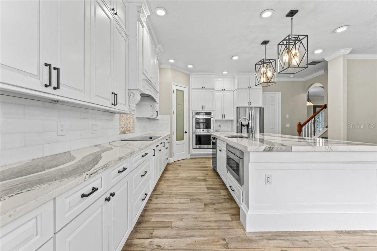27335 Roseling Court, Wesley Chapel, FL 33544 Photo