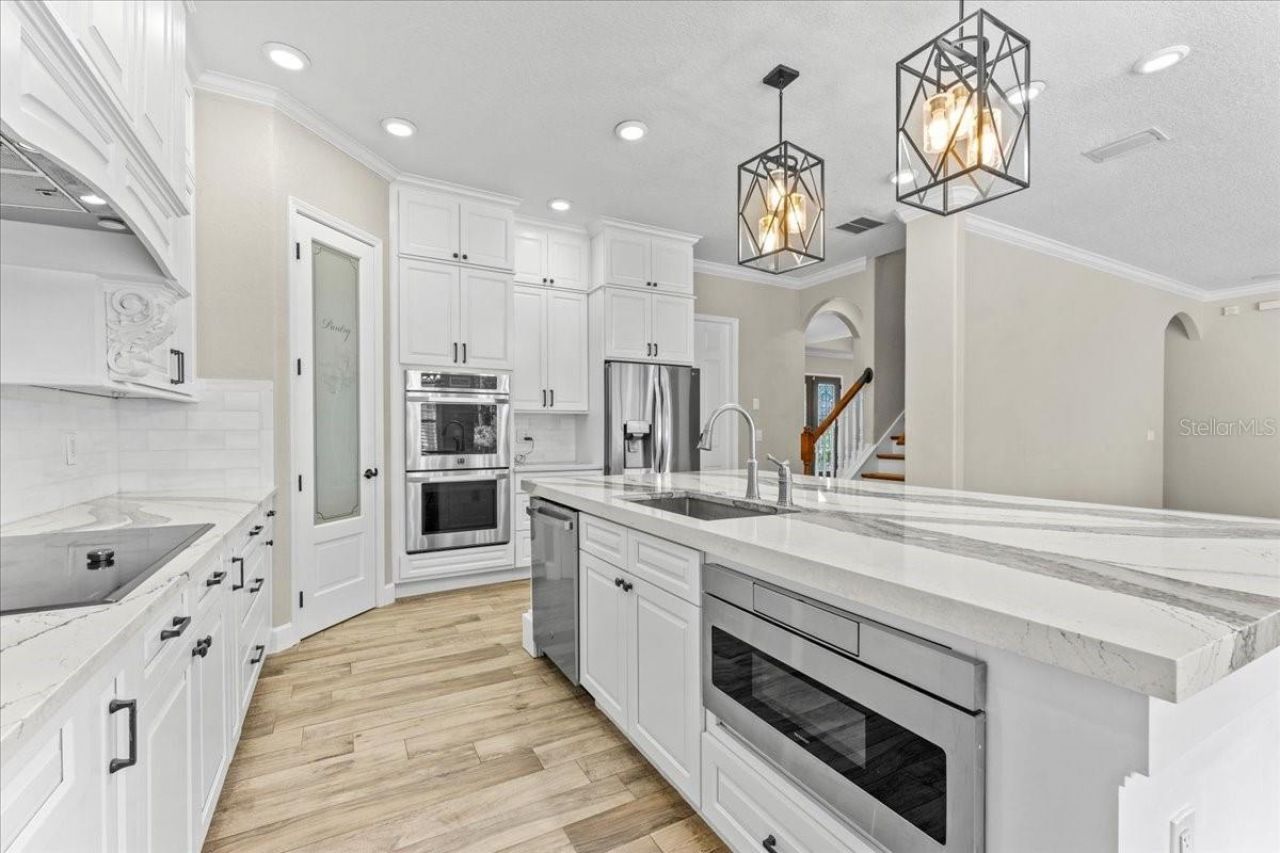 27335 Roseling Court, Wesley Chapel, FL 33544 Photo