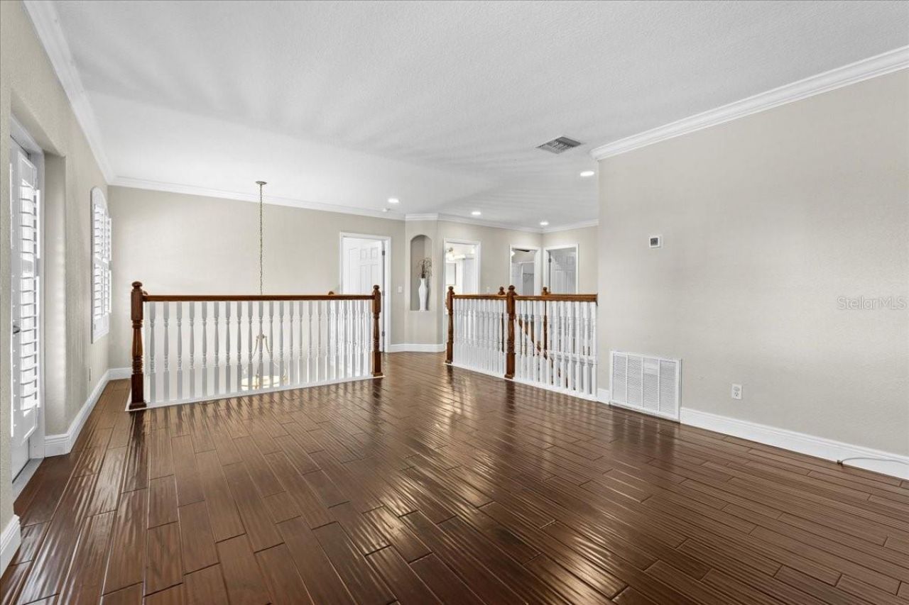 27335 Roseling Court, Wesley Chapel, FL 33544 Photo