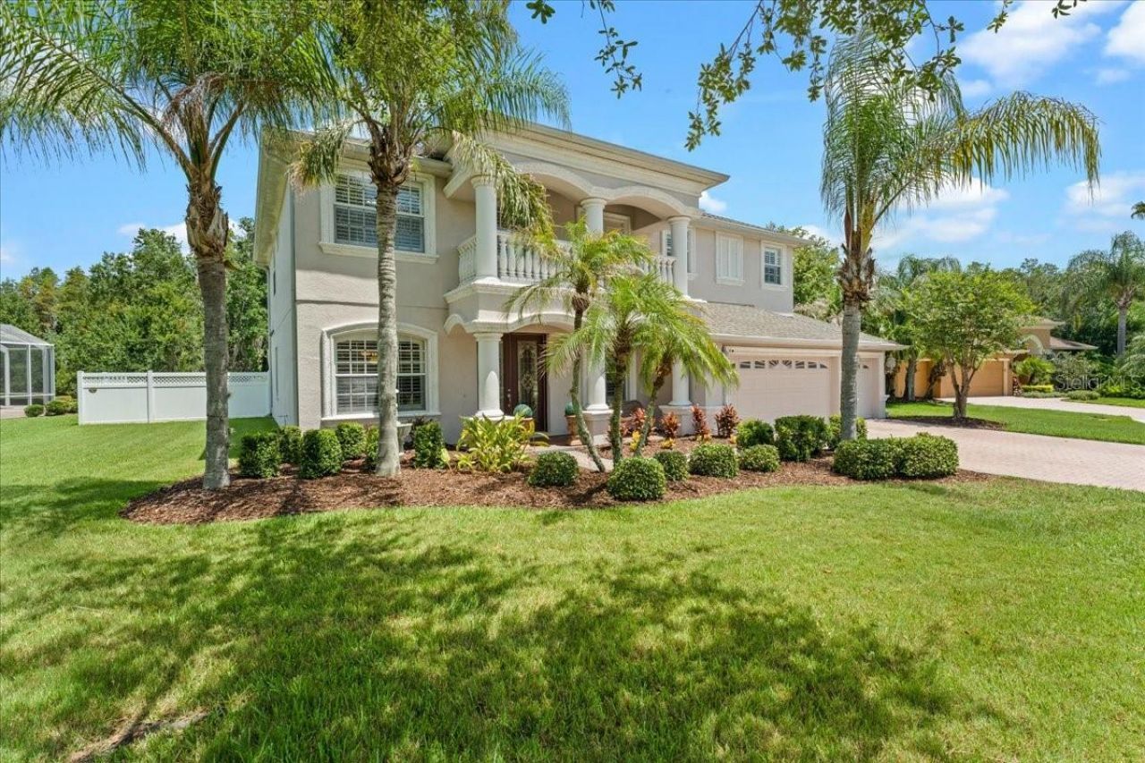 27335 Roseling Court, Wesley Chapel, FL 33544 Photo