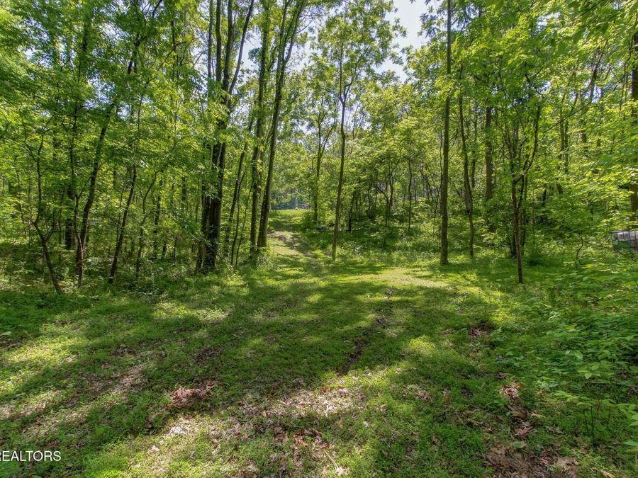 Property Image 27