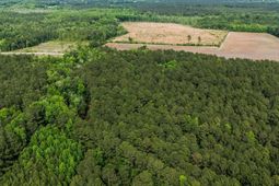 2850 Gause Rd.  photo 4
