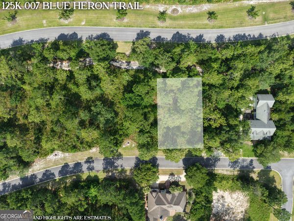 LOT 7 Blue Heron Trail, Waverly, GA 31565