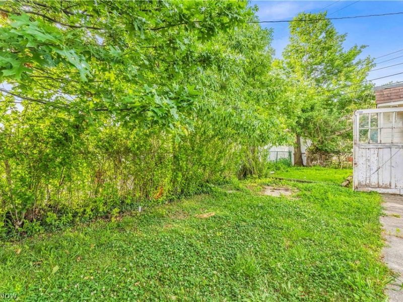 19330 Monterey Avenue , Euclid, OH 44119 Photo 26