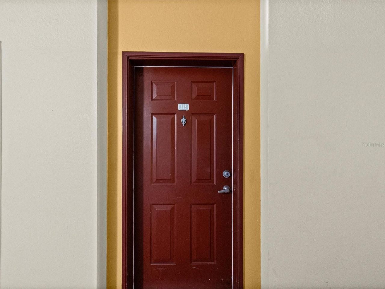 200 4th Avenue S, Unit 225, Saint Petersburg, FL 33701 Photo