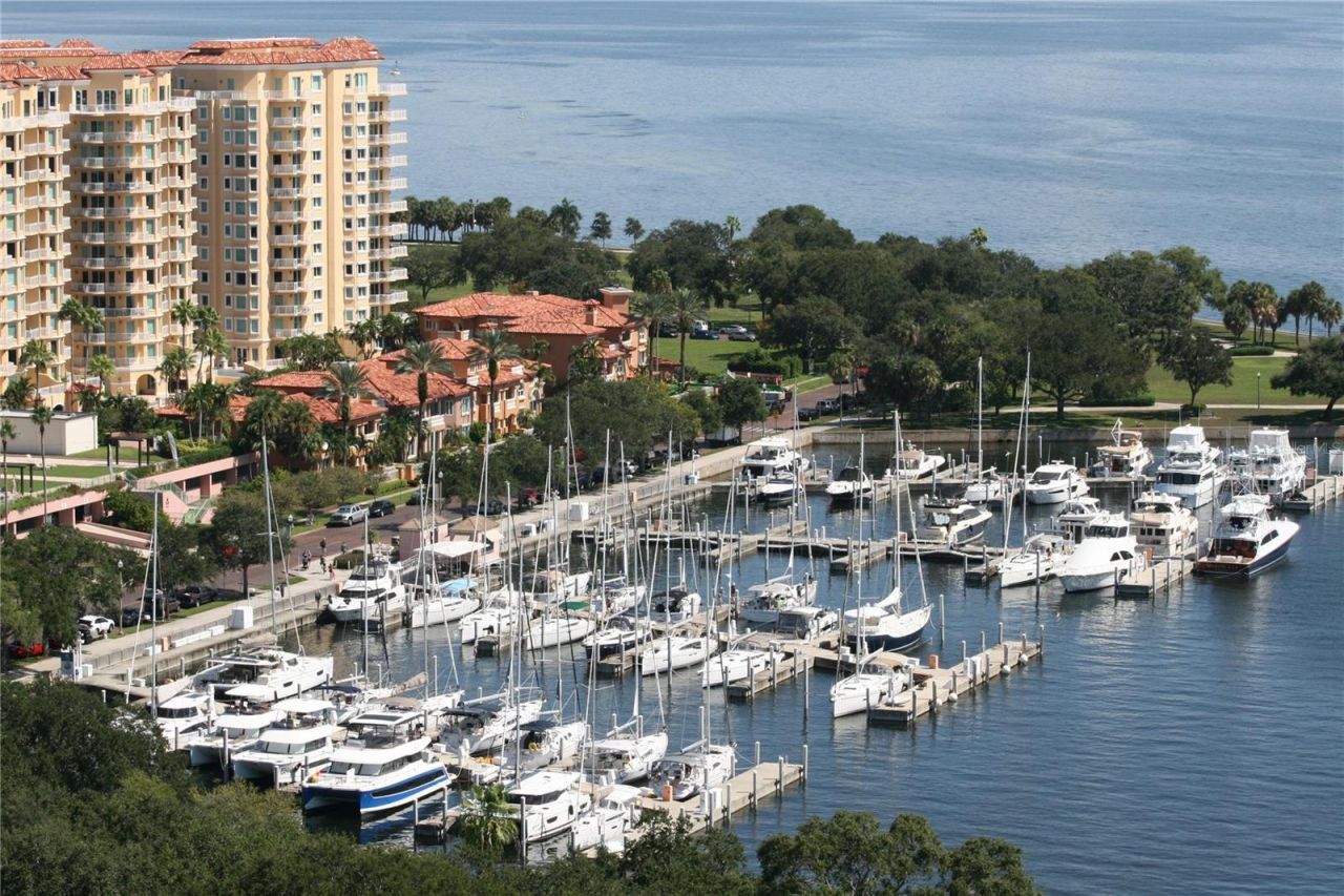 200 4th Avenue S, Unit 225, Saint Petersburg, FL 33701 Photo