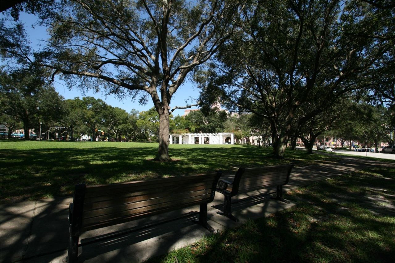 200 4th Avenue S, Unit 225, Saint Petersburg, FL 33701 Photo