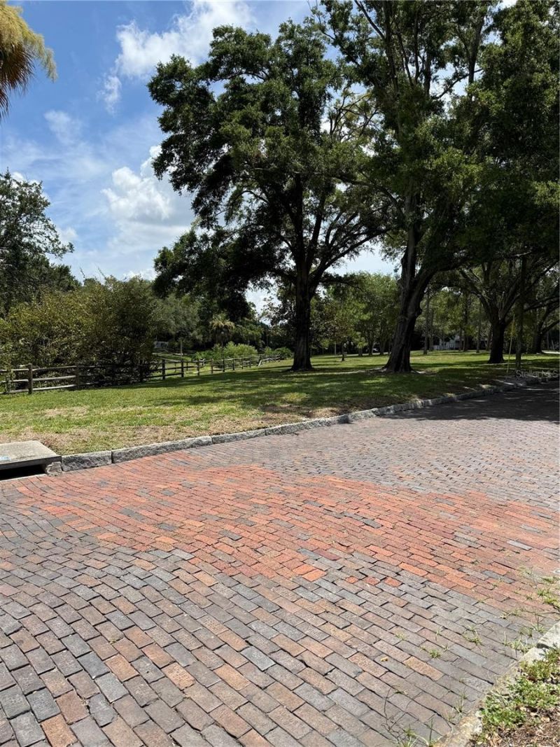 3531 Dr Mlk Jr. Drive, Saint Petersburg, FL 33704 Photo