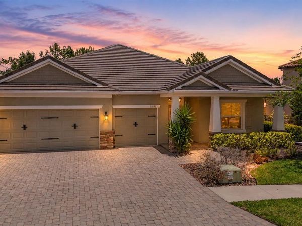 11882 FROST ASTER DRIVE , RIVERVIEW, FL 33579