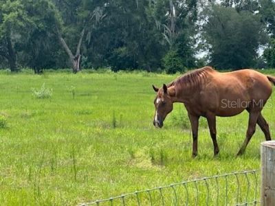 14854 NE Jacksonville Road , Citra, FL 32113 Photo