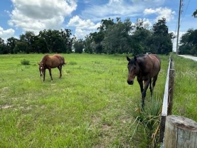14854 NE Jacksonville Road , Citra, FL 32113 Photo