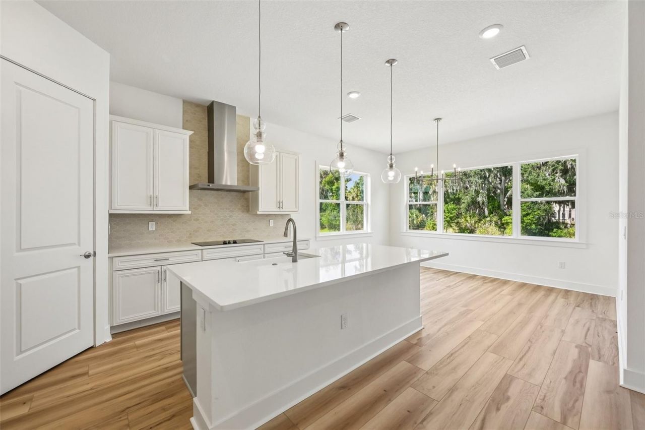 12231 White Blossom Court, Parrish, FL 34219 Photo