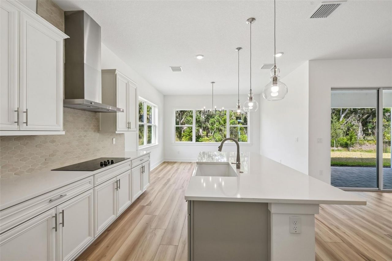 12231 White Blossom Court, Parrish, FL 34219 Photo