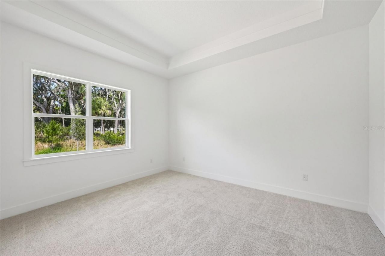 12231 White Blossom Court, Parrish, FL 34219 Photo
