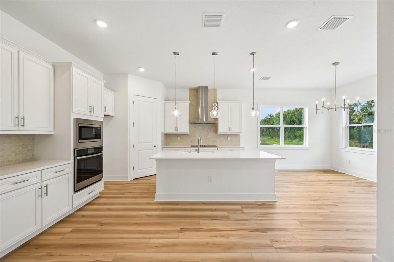 12231 White Blossom Court, Parrish, FL 34219 Photo
