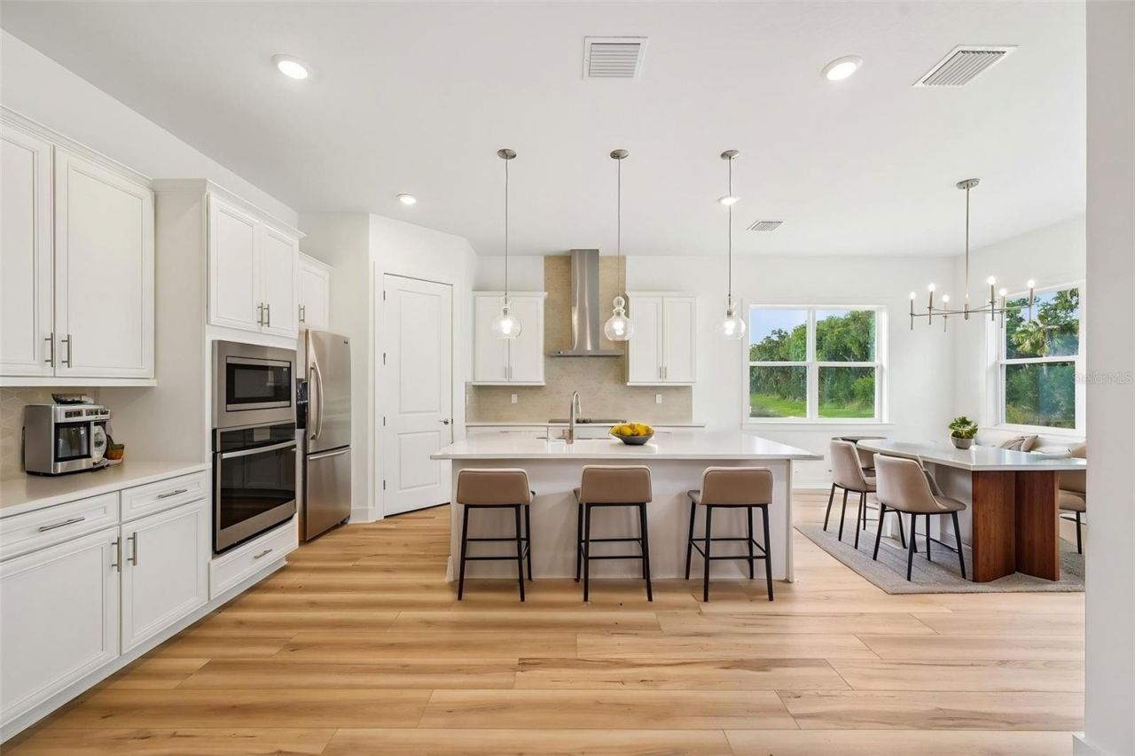 12231 White Blossom Court, Parrish, FL 34219 Photo