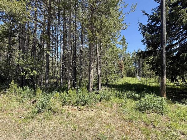 203 Angus Lane, Donnelly, ID 83615