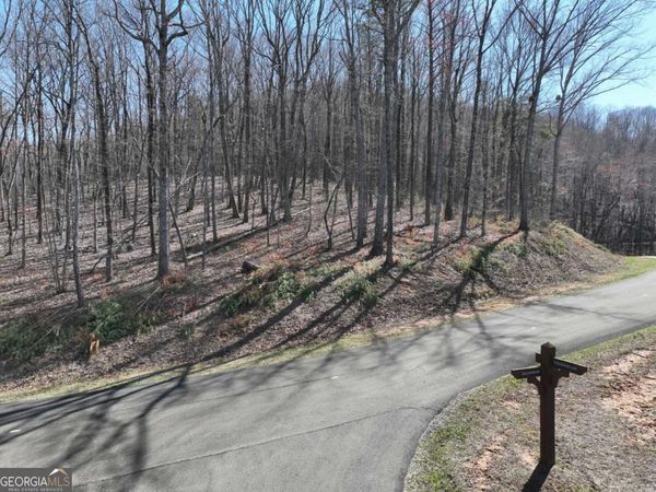 180 Trailwood Drive, Ellijay, GA 30536