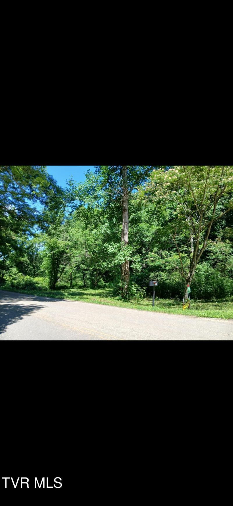701 Old Witt Road, Morristown, TN 37813 Main Photo